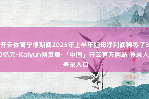 开云体育宁德期间2025年上半年归母净利润稀零了300亿元-Kaiyun网页版·「中国」开云官方网站 登录入口