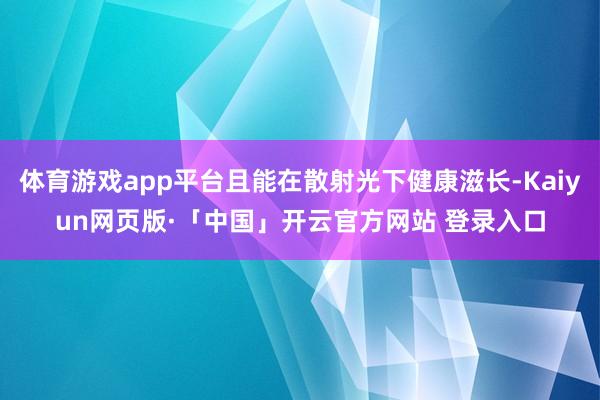 体育游戏app平台且能在散射光下健康滋长-Kaiyun网页版·「中国」开云官方网站 登录入口