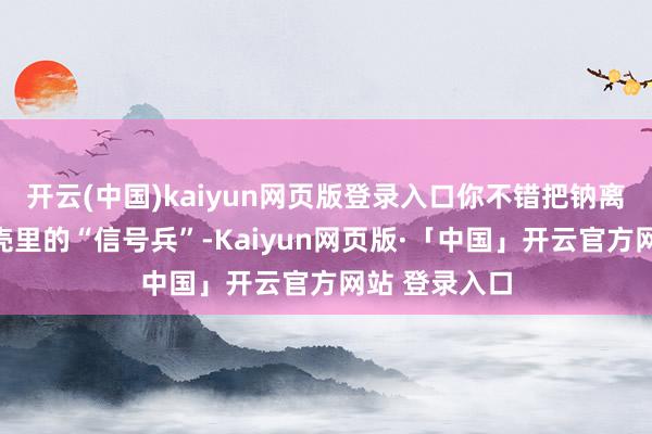 开云(中国)kaiyun网页版登录入口你不错把钠离子遐想成躯壳里的“信号兵”-Kaiyun网页版·「中国」开云官方网站 登录入口