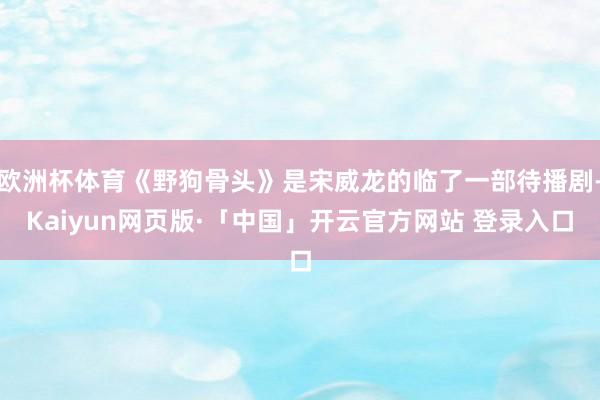 欧洲杯体育《野狗骨头》是宋威龙的临了一部待播剧-Kaiyun网页版·「中国」开云官方网站 登录入口